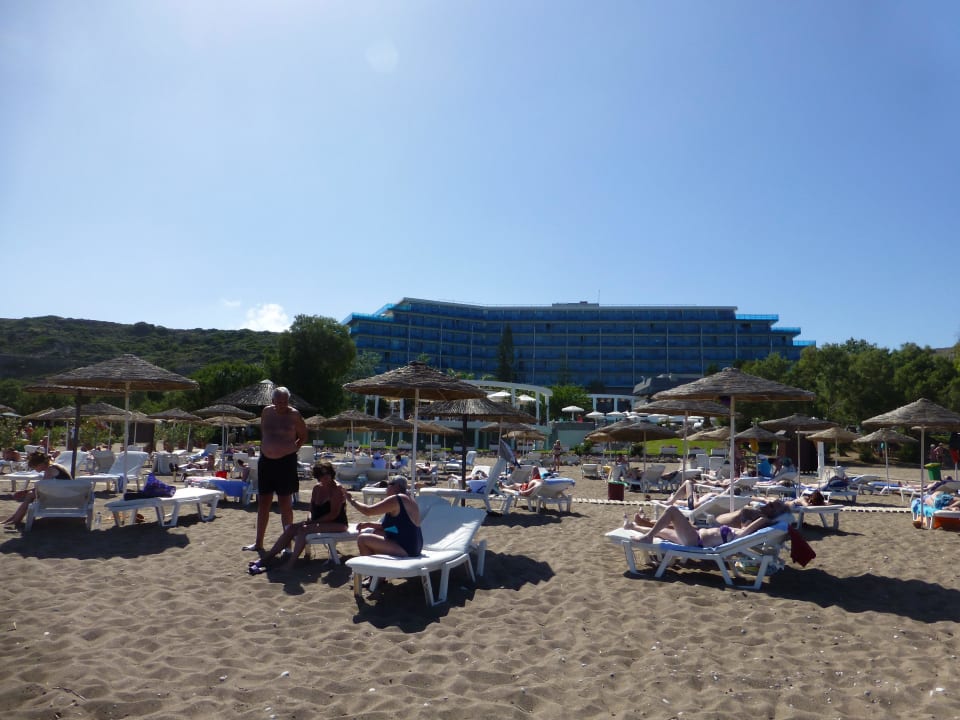 Hotel vom Strand aus mit Liegen Hotel Calypso Beach