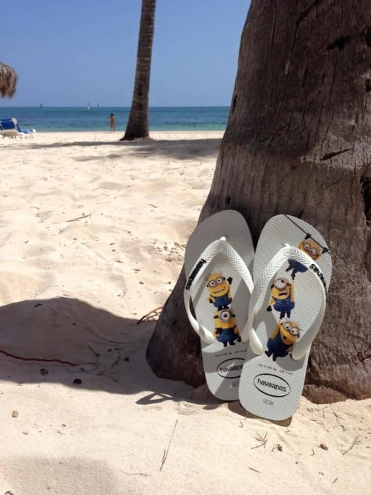 Einfach traumhaft Meliá Caribe Beach Resort-All Inclusive