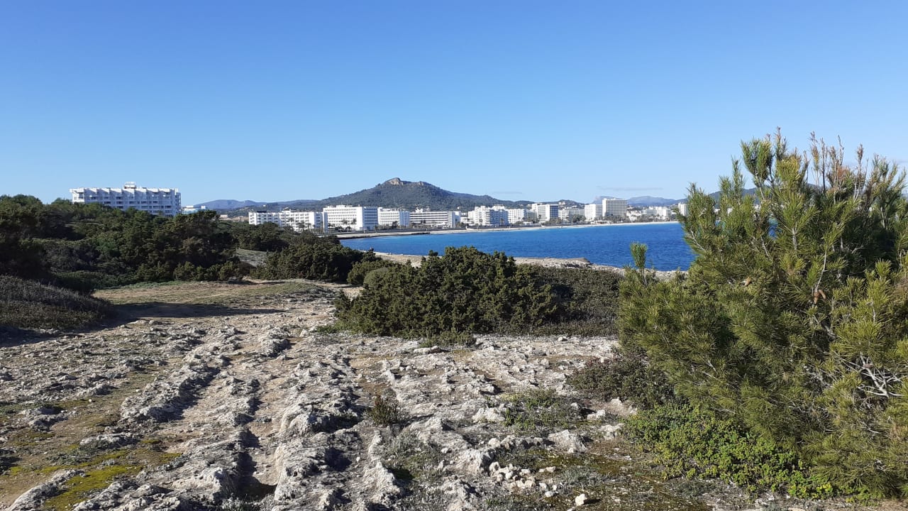 Außenansicht Hipotels Hipocampo Playa