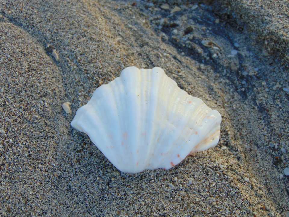 Strand Amber Lombok Beach Resort