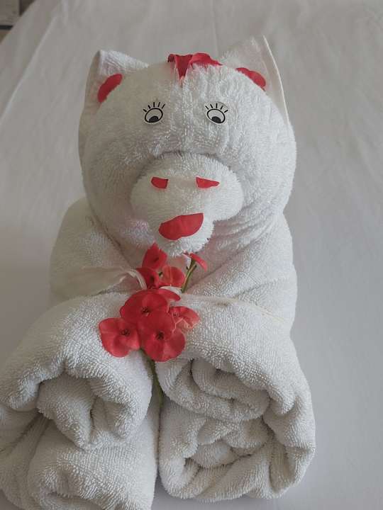 Sonstiges TUI BLUE Samaya