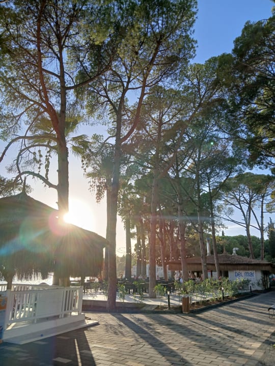 Gartenanlage Ömer Prime Holiday Resort