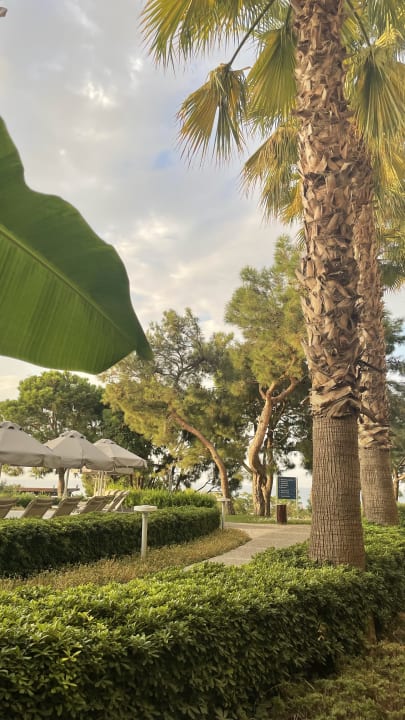 Gartenanlage Akra Sorgun Tui Blue Sensatori