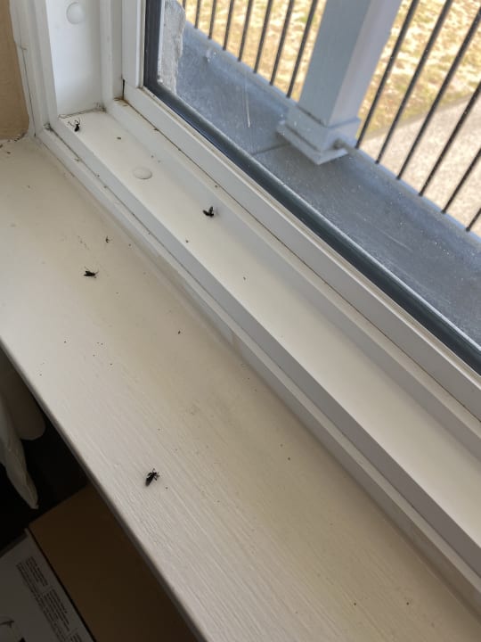 Zimmer Hotel Jupiter Waterfront Inn