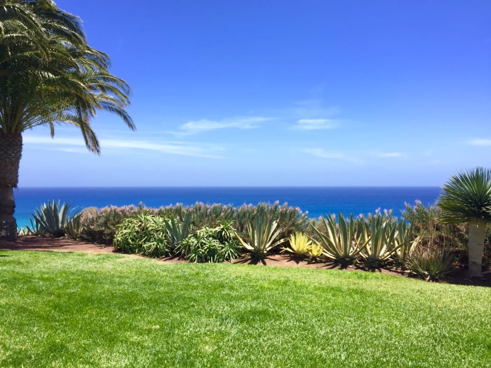 Gartenanlage ROBINSON ESQUINZO PLAYA