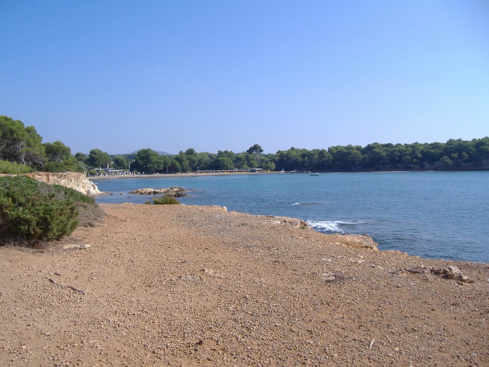 Weg zum Hippimarkt Hotel Tropic Garden