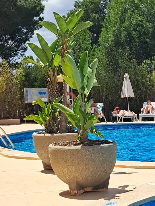 Pool JS Alcudi Mar