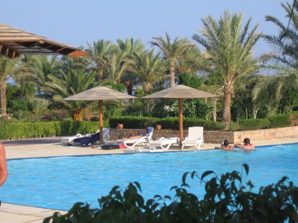 Pool Fort Arabesque Resort, Spa & Villas