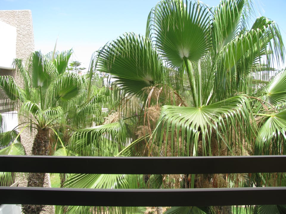 Ausblick Dunes D'or Ocean Club