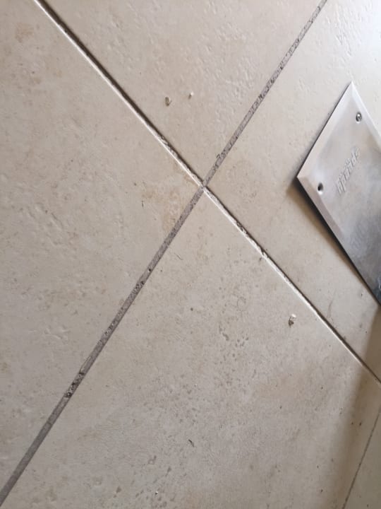 Zimmer Serenity Alma Heights