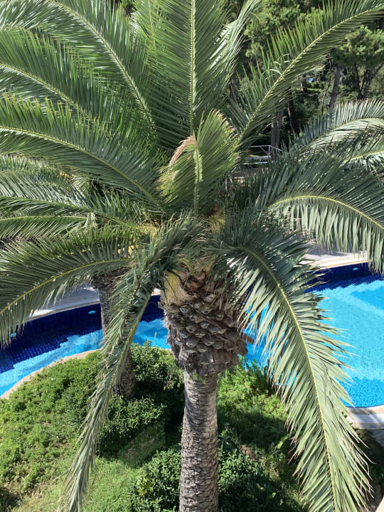 Gartenanlage Paloma Pasha