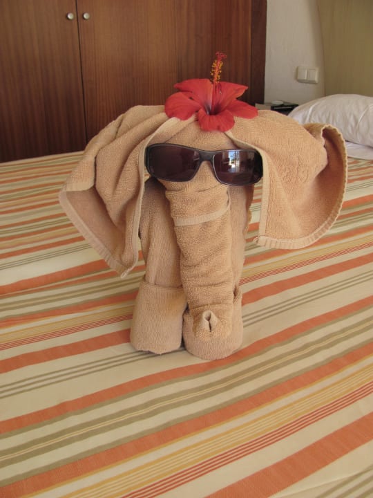 Zimmer SBH Hotel Taro Beach