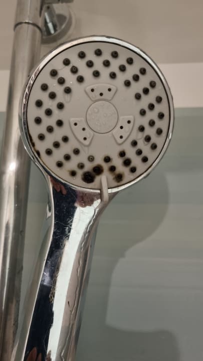 Zimmer Hotel Riu Palace Tropical Bay