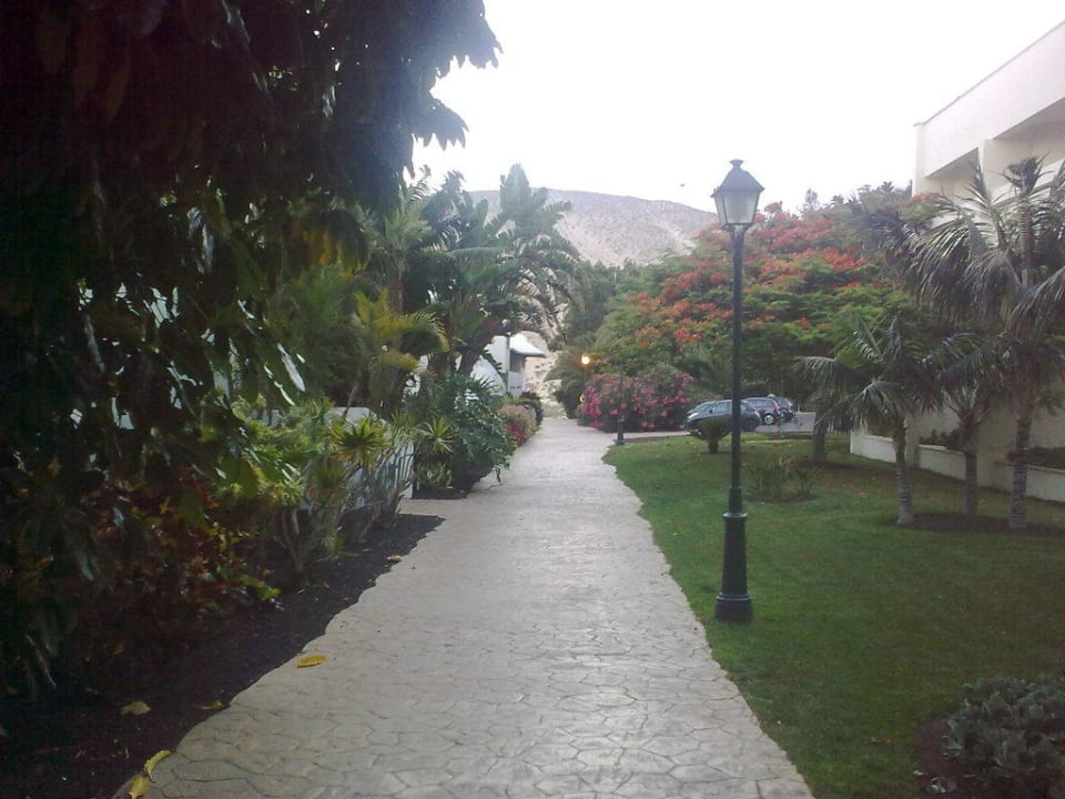 Gartenblage INNSiDE by Melia Fuerteventura - Adults Only