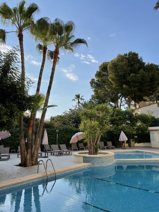 Pool FLOR los Almendros Hotel