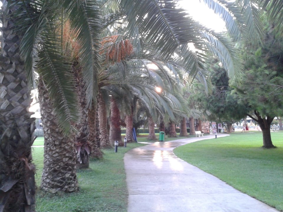 Ogród Özkaymak Select Resort Hotel