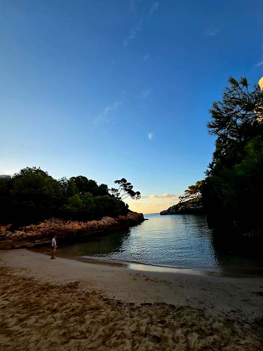 Strand Calimera Fido Gardens