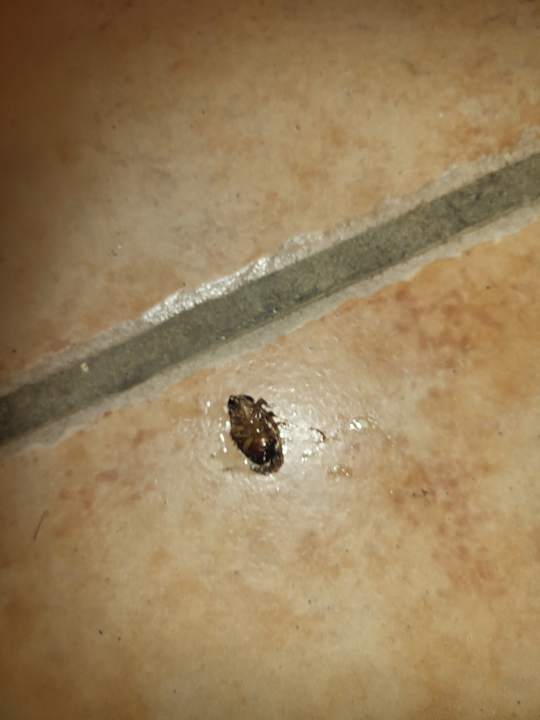 Zimmer SBH Club Paraiso Playa