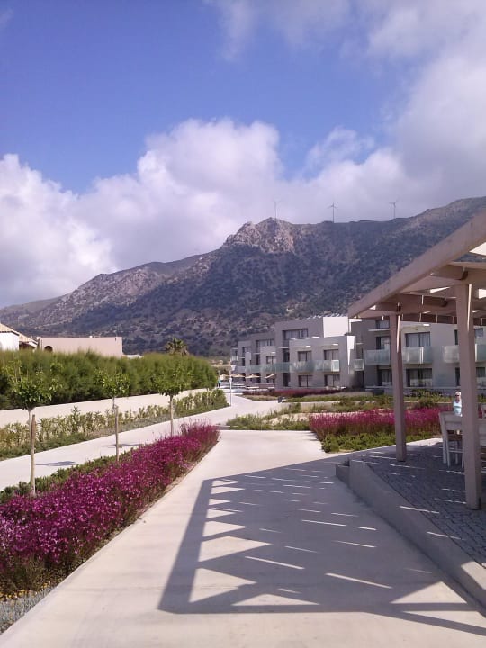 Vom Pool aus Akti Palace Resort & Spa