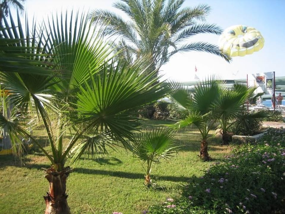 Ogród Kırbıyık Resort Hotel - Alanya