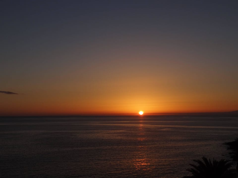 Sunset Bull Dorado Beach & Spa