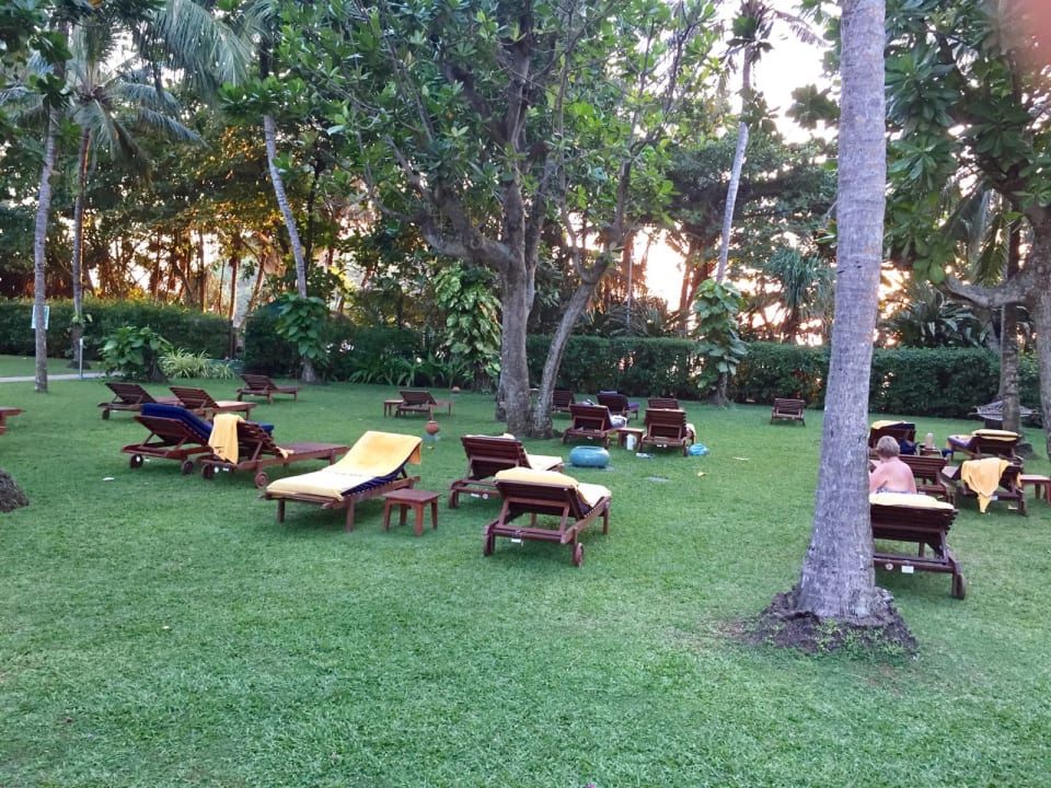 Gartenanlage Hotel Lanka Princess Ayurveda