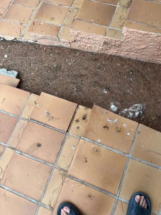 Zimmer Flipflop Cala Romantica