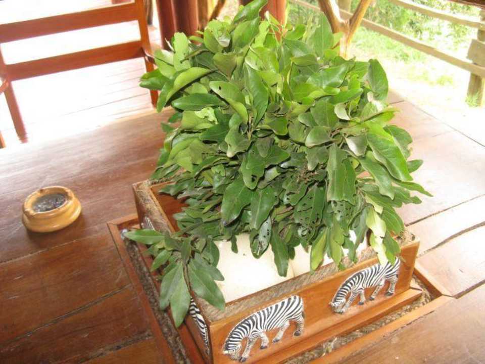 Deko auf der Veranda Royal Mara Safari Lodge