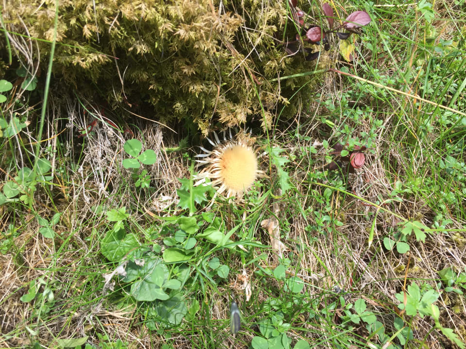 Gartenanlage Hotel Bergglück