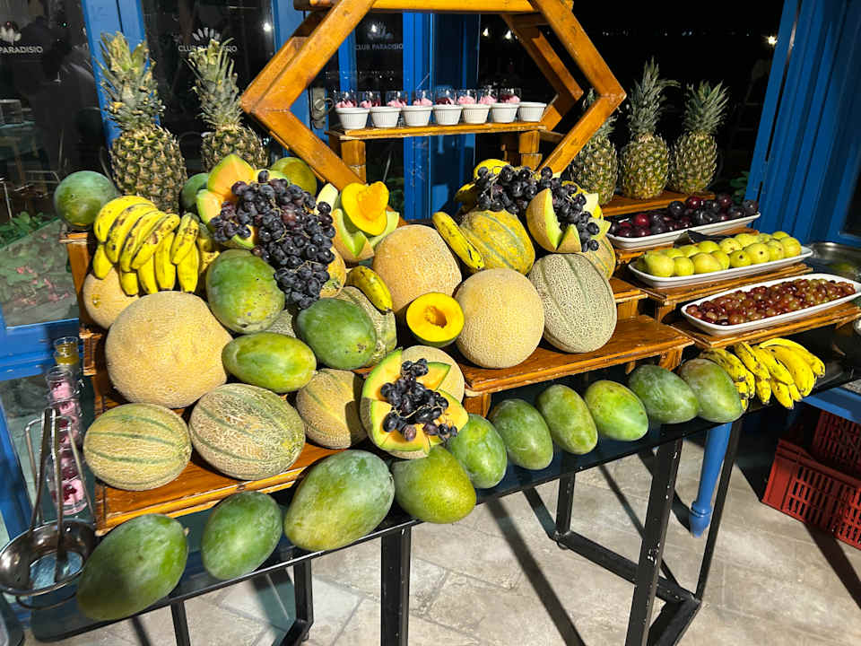 Gastro Club Paradisio El Gouna, Red Sea