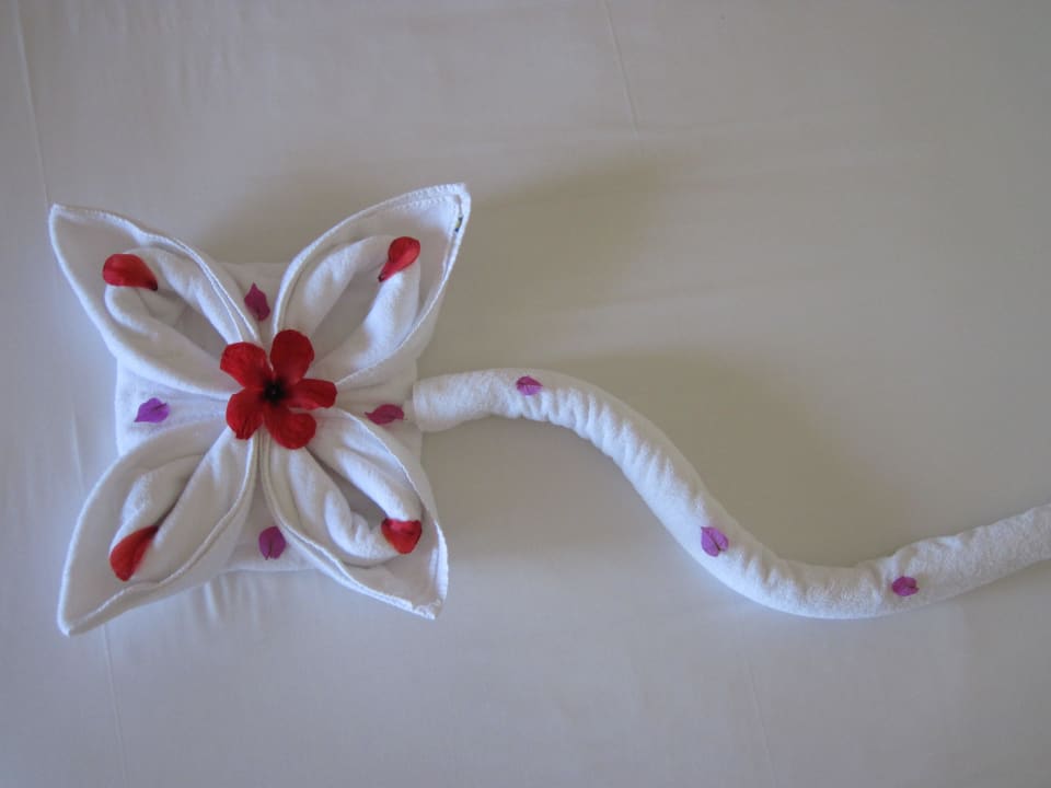 Bett Malikia Resort Abu Dabbab