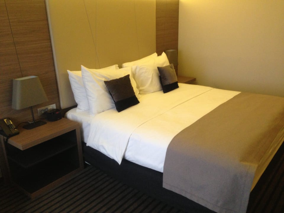 Room 308 Radisson Blu Plaza Hotel Ljubljana