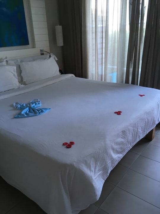 Zimmer Radisson Blu Poste Lafayette Resort & Spa - Adults only