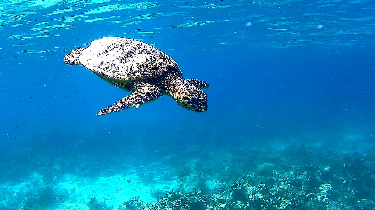 Sport & Freizeit Adaaran Select Hudhuran Fushi - Premium All Inclusive