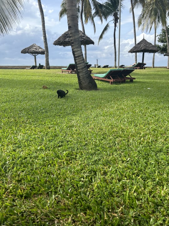 Sport & Freizeit Neptune Paradise Beach Resort & Spa