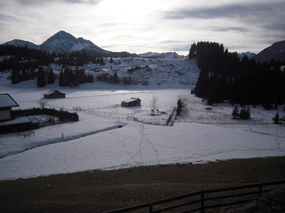 Ausblick bei der Wanderung Panoramahotel Talhof Garni