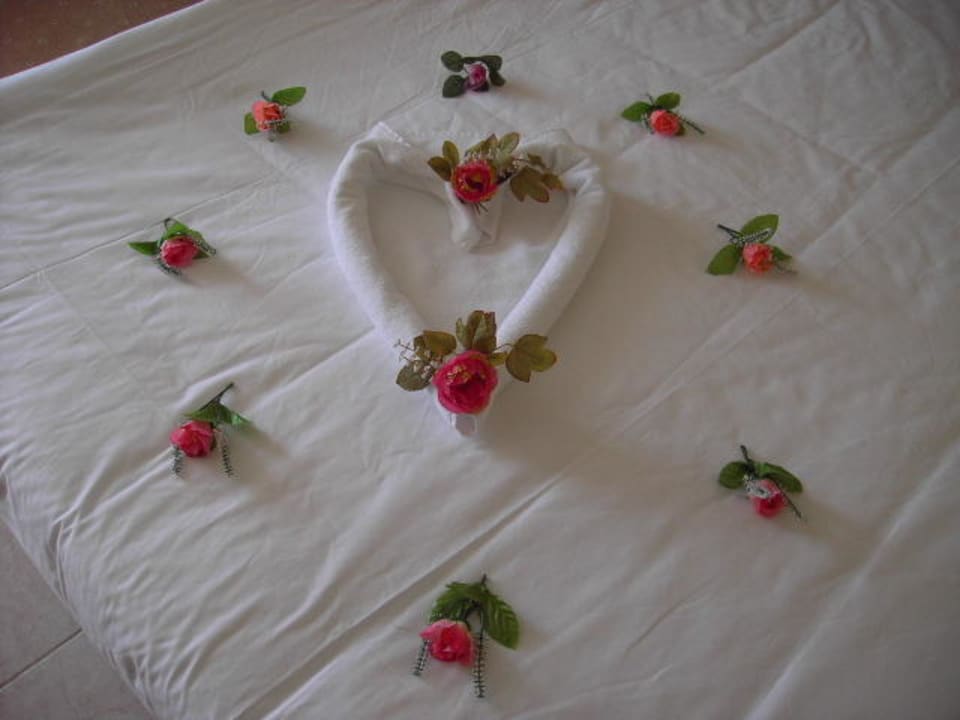 Da habe ich mich gefreut Crystal Paraiso Aqua Collection