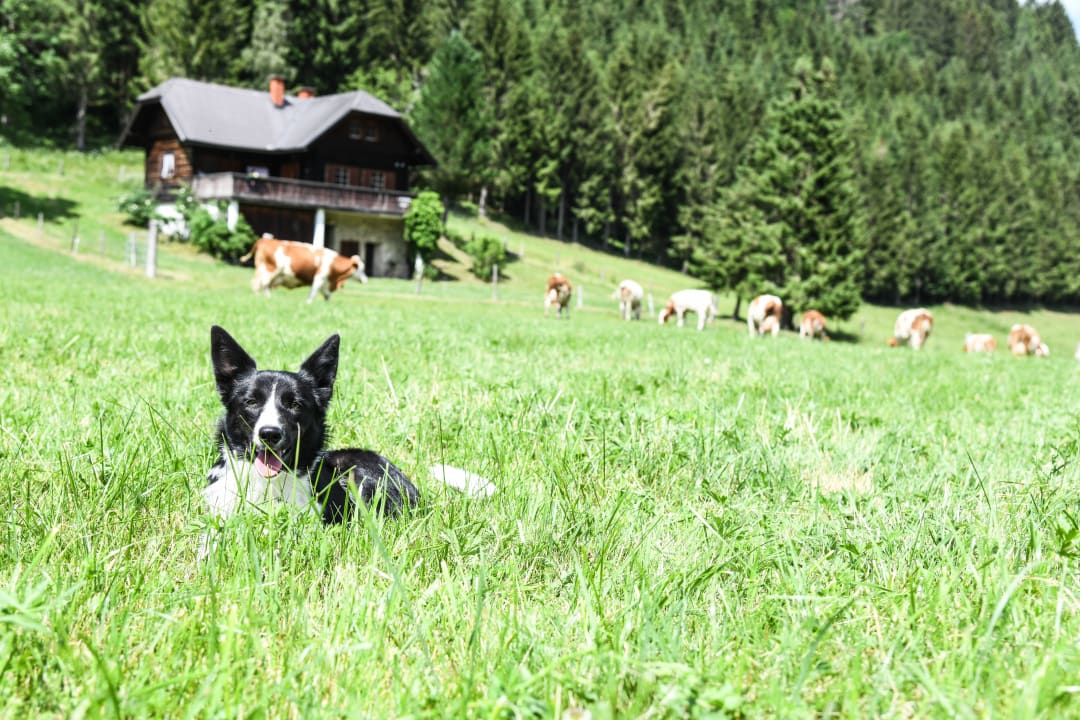 Außenansicht Ferienwohnungen Gullyhof