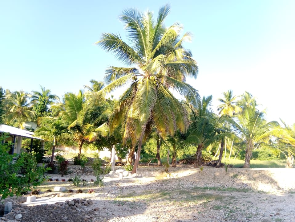 Gartenanlage Hotel Al Mare In B&B