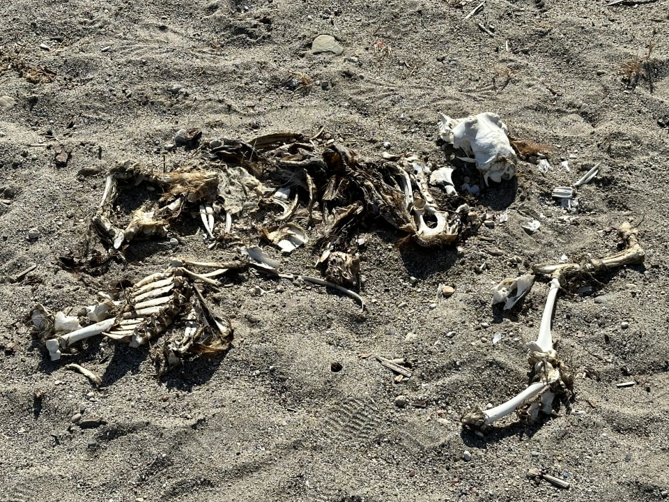 Strand Rodos Princess Beach Hotel & Spa