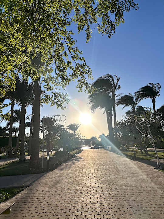 Gartenanlage Pharaoh Azur Resort