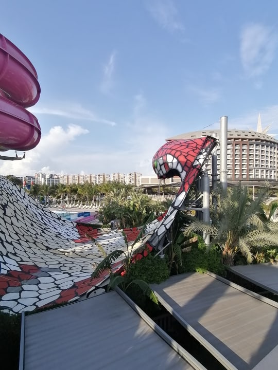 Ausblick Royal Seginus