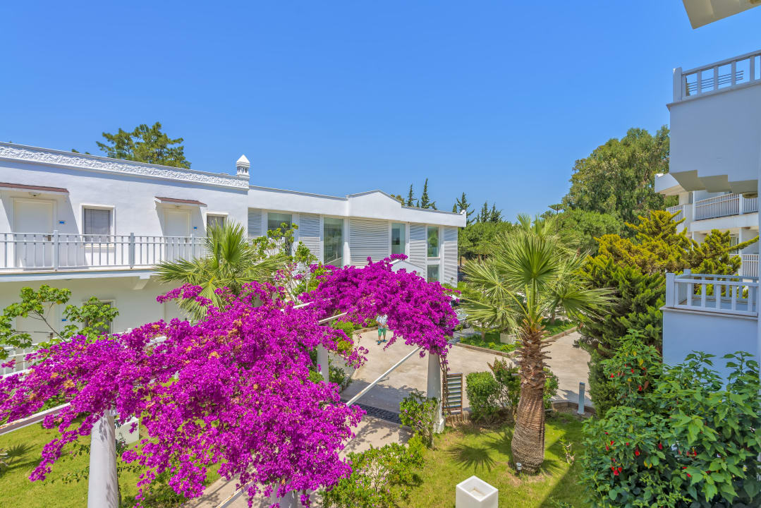 Gartenanlage Hotel Bendis Beach