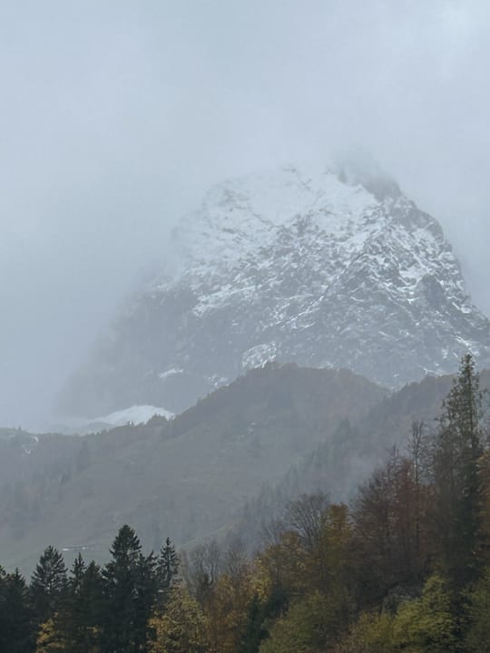 Ausblick Hotel Jagdschlössl