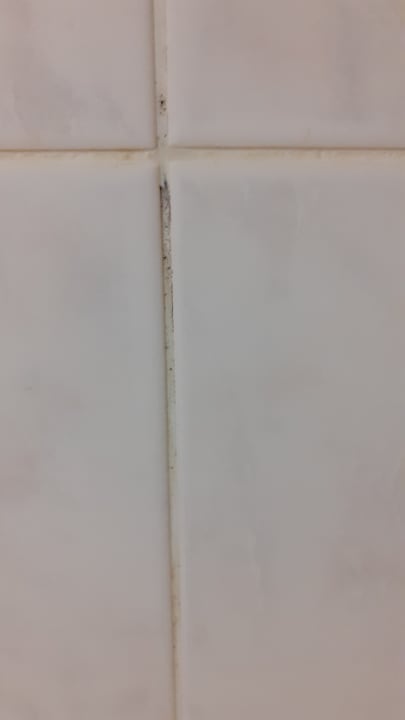 Zimmer Seehotel Brandenburg a.d. Havel