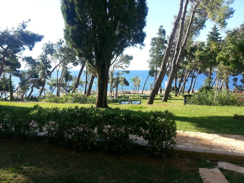 Blick aus unser Superior-Zimmer mit Terrasse! Valamar Sanfior Hotel & Casa