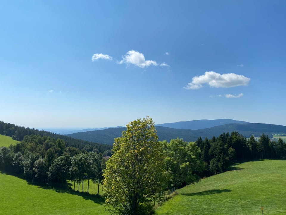 Ausblick Wildwiesenhof Miesenbach bei Birkfeld