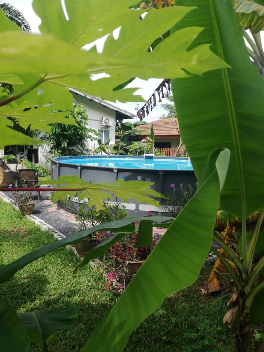 Pool Aathid Garden Khao Lak