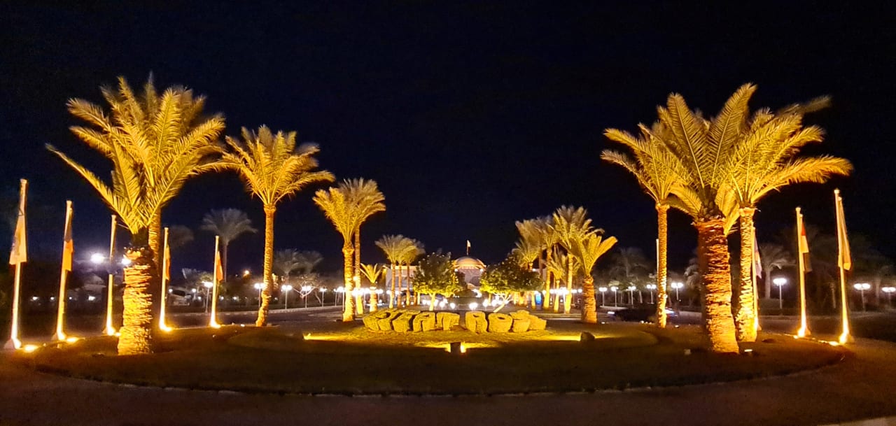 Gartenanlage Desert Rose