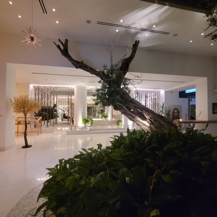 Lobby Domes Miramare, a Luxury Collection Resort, Corfu